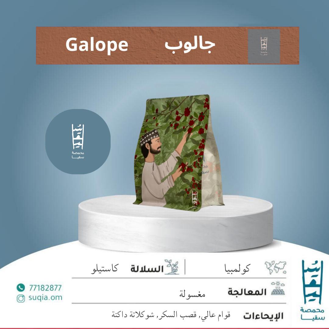 جالوب